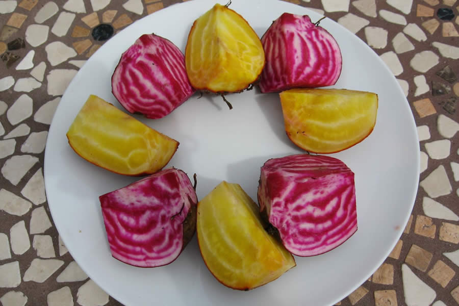 Chioggia beets!